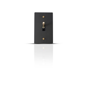 Toggle Light Switch, Dimmer & Outlet - Black Brass Cover Wall Plate ...