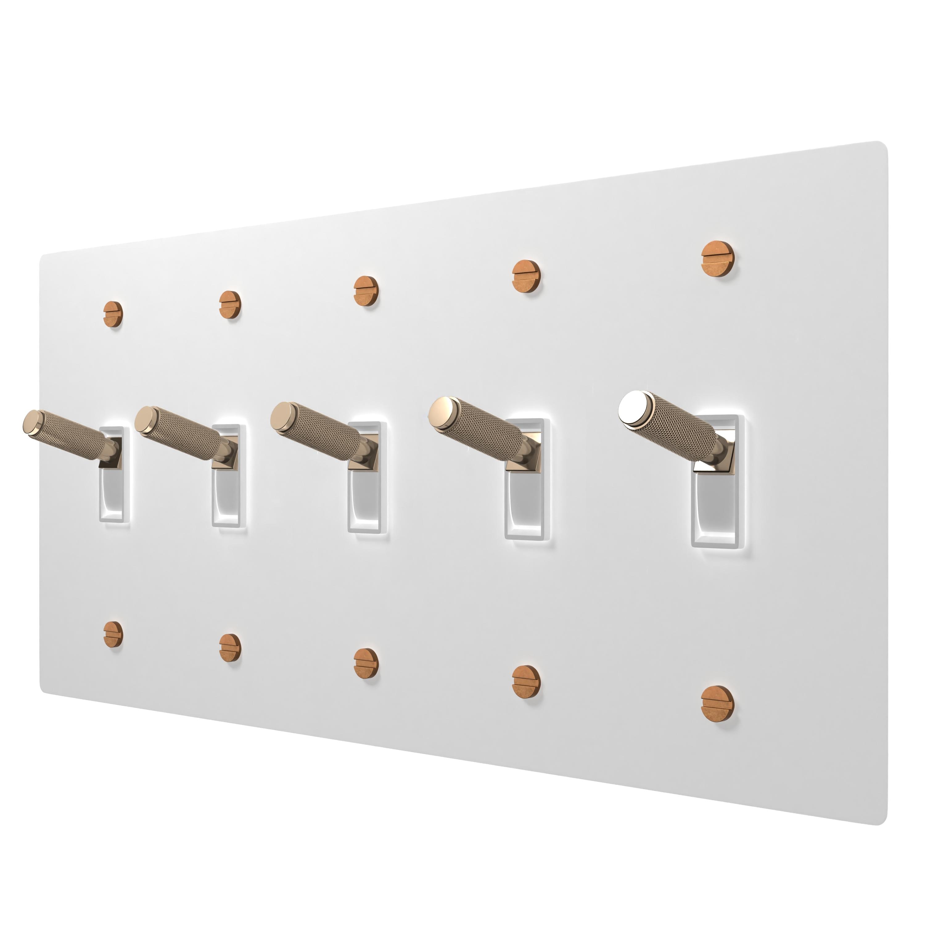 Varilight - Interruttore a bilanciere classico 1G 1 o 2W 10A in ottone spazzolato senza viti - XDBT1S Varilight - Interruttore a bilanciere classico 1G 1 o 2W 10A in ottone spazzolato senza viti - XDBT1S