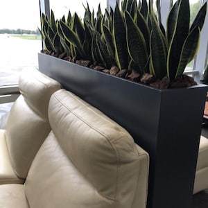 Moderne metalen plantenbak – stijlvolle kamerverdeler, woonterras of decoratieve sierpot voor het interieur van huis, kantoor en café