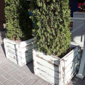 Rustikaler quadratischer Pflanzkasten aus Holz – Gartentopf aus Kiefernholz im Used-Look, großer Blumenbehälter im Vintage-Stil für Terrasse, Veranda, Balkondekoration
