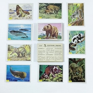 Panini 1979 Mammals Animal Trade Cards Scegli la tua carta adesiva (numero 201-400)