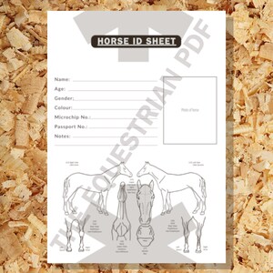 Puede incluir: Una hoja de identificación de caballo blanca con el texto "HORSE ID SHEET" en la parte superior. La hoja incluye campos para nombre, edad, sexo, color, número de microchip, número de pasaporte y notas. También presenta diagramas de caballos.