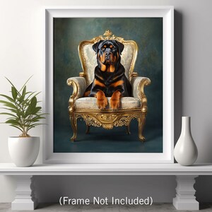 Pu&ograve; includere: Un Rottweiler seduto su una sedia dorata ornata su uno sfondo blu scuro. Il cane guarda direttamente la fotocamera.