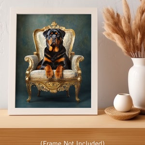 Pu&ograve; includere: Un cane Rottweiler seduto su una sedia dorata ornata su uno sfondo blu-verde. Il cane guarda direttamente la fotocamera.