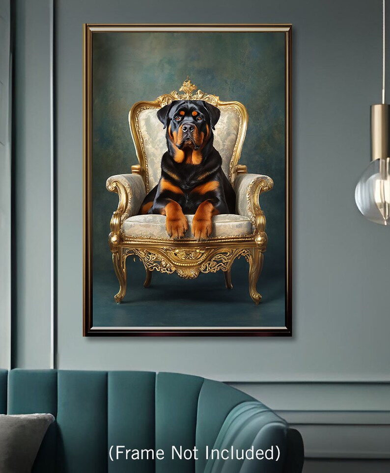 Pu&ograve; includere: Un cane Rottweiler nero e marrone seduto su una sedia dorata ornata con un cuscino bianco. Il cane guarda direttamente la telecamera. Lo sfondo &egrave; di colore blu-verde scuro.