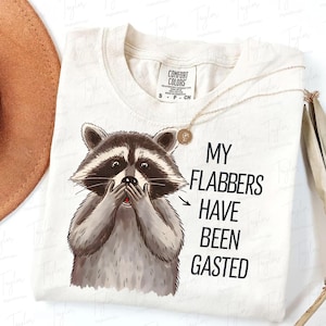 My Flabbers Have Been Wasted PNG, Animal sournois, Mème drôle de raton laveur, sarcastique sarcastique drôle, Citations drôles d'humour pour adultes, raton laveur grossier