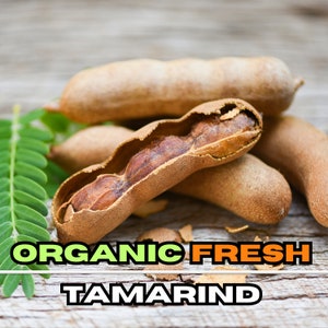 Organic Fresh Tamarind Fruit