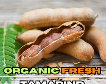 Biologisch vers tamarindefruit
