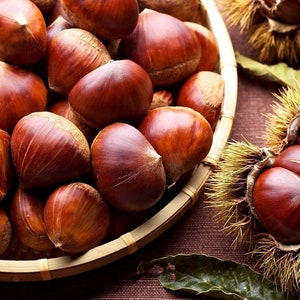 Castañas dulces, envío el mismo día, castañas frescas, castañas asadas y hervidas, sabores tradicionales, tamaño jumbo.