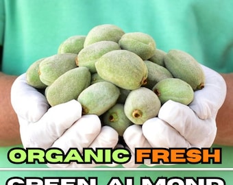 Organic Fresh Green Almonds,70.5oz (2000 Grams), Garden Grown, Organic Fresh Green Almonds, Natural Snack, Fresh Fruit, Spring Fruit