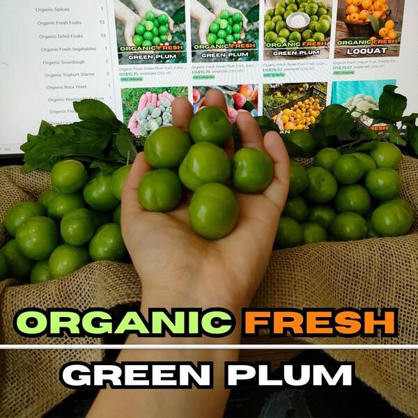 Organic Fresh Green Plum Fruit, Juicy and Crispy Plum Fruit collected from our own garden, we collect for you upon order.