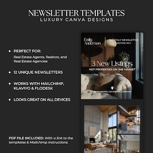Real Estate Newsletter Template for Canva, Realtor Marketing, Email Marketing, Faceless Marketing, Mailchimp Email Template SI01 image 2