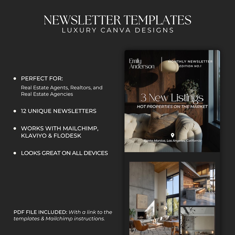 Real Estate Newsletter Template for Canva, Realtor Marketing, Email Marketing, Faceless Marketing, Mailchimp Email Template SI01 image 2