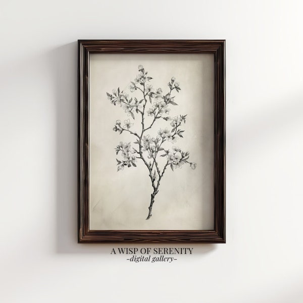 Rustic Almond Tree Sketch | PRINTABLE Antique Pencil Drawing l Vintage Farmhouse Kitchen Art Print Digital Download l Minimalist Wall Art