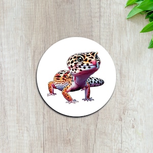 May include: A colorful gecko with orange, yellow, and black spots on a white background.