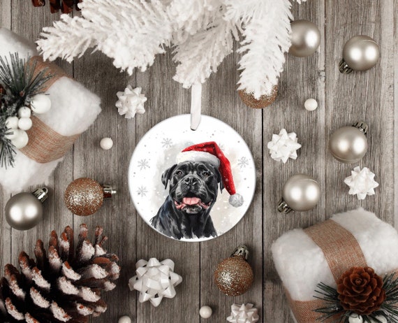 Dog Lover Christmas Ornaments for Holiday Season Dog Breed