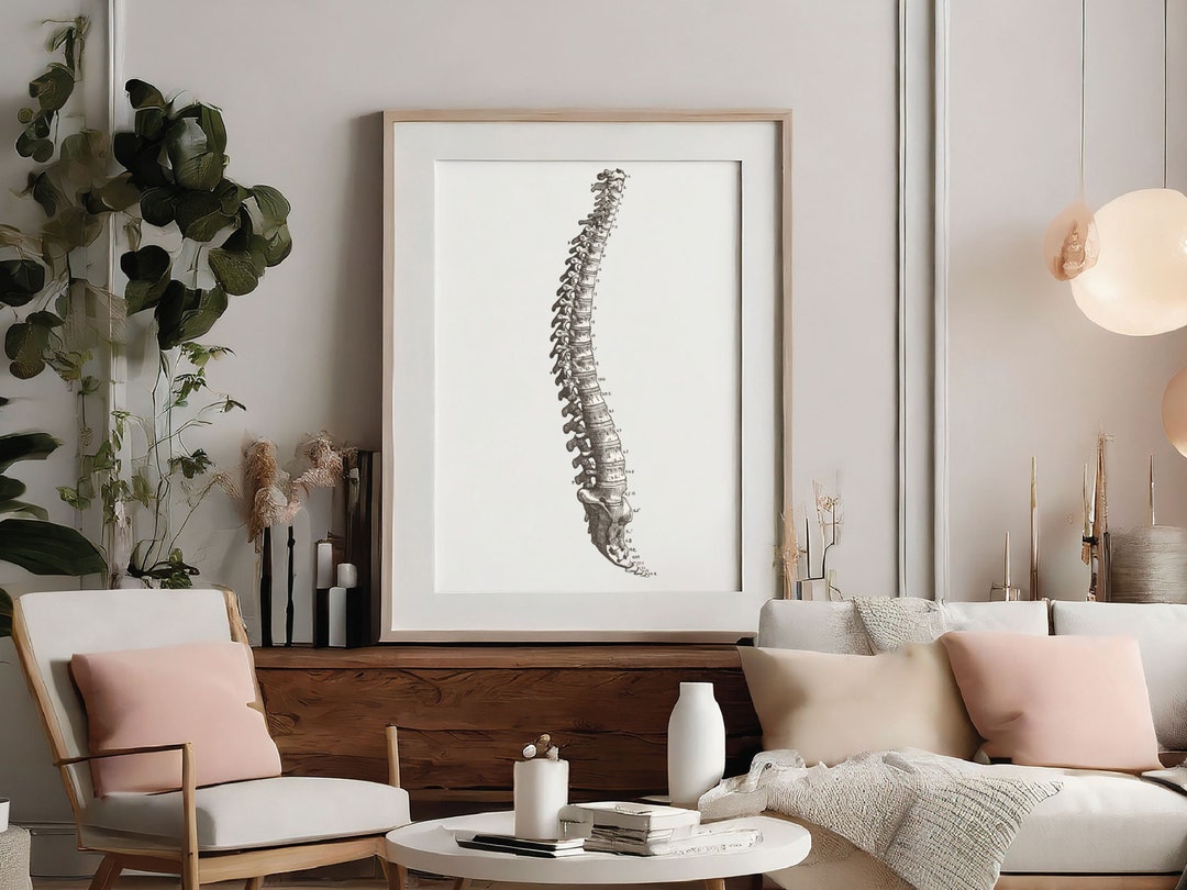 Spine Art Print: Anatomical Poster Medical Prints Anatomical Wall Art ...