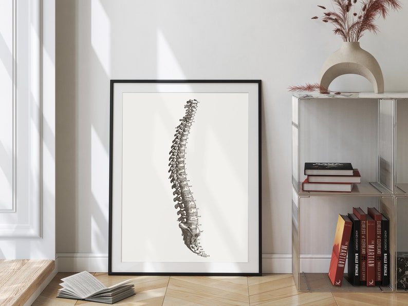 Spine Art Print: Anatomical Poster Medical Prints Anatomical Wall Art ...