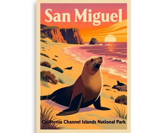 Parque Nacional de las Islas del Canal de San Miguel, California V04