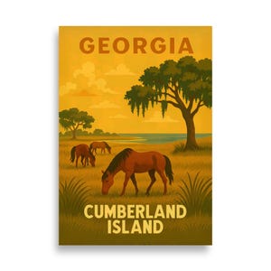Georgia Cumberland Island V03