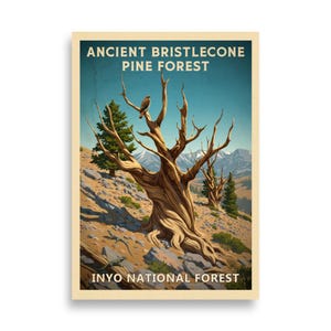 May include: A vintage poster of the Ancient Bristlecone Pine Forest in Inyo National Forest. The image shows a twisted tree with a bird on a branch, set against a backdrop of mountains and a blue sky.