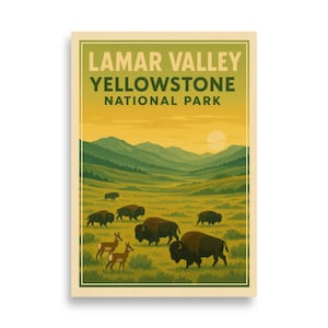 Yellowstone National Park - Lamar Valley V01