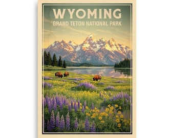 Parque Nacional Grand Teton, Wyoming V03