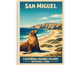 Parque Nacional de las Islas del Canal de San Miguel, California V02