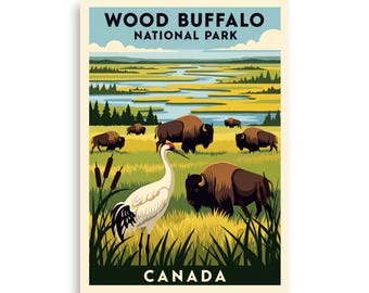 Canada Wood Buffalo national park V02