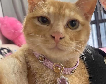 Matching Pet & Owner Gemstone Choker Set: Fur-Friendly Cat Dog Collar