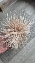 Feather brooch for decorating clothing or hair product logo