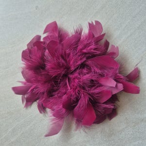 May include: A cluster of deep magenta feathers arranged in a circular, layered formation. The feathers vary in texture, featuring both smooth, flat quills and soft, wispy downy filaments, creating a dense and voluminous appearance in a uniform color.