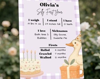 One Silly Goose First Birthday First Year Sign Template  (Digital Download)