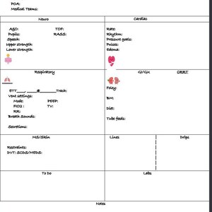 ICU report sheet