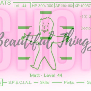 May include: A pink and green Fallout video game character with the text "Beautiful Thingz" and "STATS LVL 44 HP 300/300 AP150/150 XP 10957/11322" on the screen.