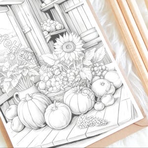Fall Harvest coloring pages, 60 pictures, instant download, printable, fall coloring, pumpkin coloring, harvest coloring, Thanksgiving image 4