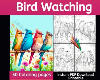Dibujos para colorear de observación de aves, 50 imágenes hermosas, descarga instantánea, dibujos para colorear aves, dibujos para colorear flores, pájaros, dibujos para colorear animales, escala de grises