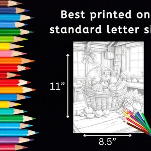 Fall Harvest coloring pages, 60 pictures, instant download, printable, fall coloring, pumpkin coloring, harvest coloring, Thanksgiving image 3