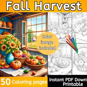 Fall Harvest coloring pages, 60 pictures, instant download, printable, fall coloring, pumpkin coloring, harvest coloring, Thanksgiving image 1