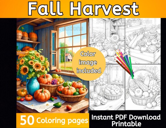 Fall Harvest coloring pages, 60 pictures, instant download, printable, fall coloring, pumpkin coloring, harvest coloring, Thanksgiving