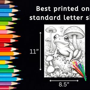 Fabulous Frog coloring pages, instant download, printable, frog coloring, garden coloring, animal coloring, cute coloring pages image 3