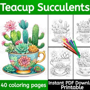 Teacup Succulents coloring pages, cactus coloring, succulents coloring, plant coloring, flower coloring, instant pdf download