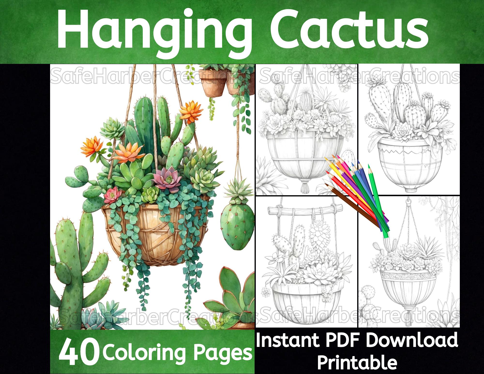 Cactus Hanging Basket coloring pages, instant download, printable, cactus coloring, succulent coloring, plant coloring