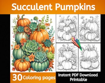 Succulent Pumpkins coloring pages, instant download, printable, pumpkin coloring, fall coloring, succulent coloring, flower coloring
