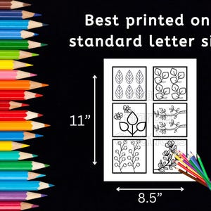 Puede incluir: P&aacute;gina para colorear imprimible en blanco y negro con seis dise&ntilde;os diferentes de hojas y flores. La p&aacute;gina mide 8,5 pulgadas de ancho y 11 pulgadas de alto. Mejor impresa en papel tama&ntilde;o carta est&aacute;ndar.