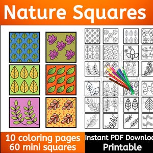 Cuadrados de la naturaleza para colorear, 10 páginas, 60 mini imágenes, descarga instantánea, imprimible, patrones para colorear, naturaleza para colorear, flores para colorear imagen 1