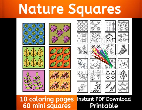 Nature Squares coloring, 10 pages, 60 mini images, instant download, printable, pattern coloring, nature coloring, flower coloring