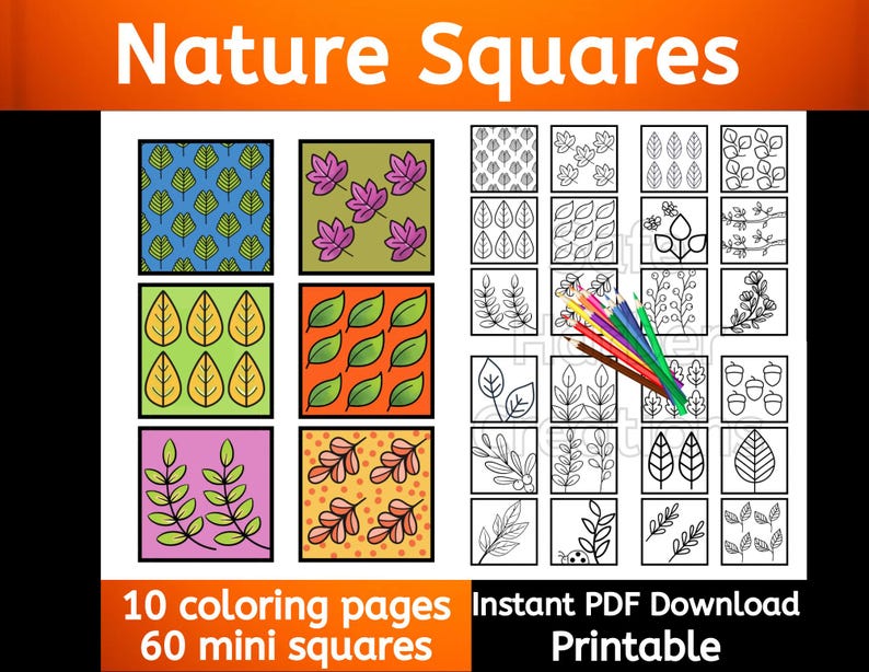 Cuadrados de la naturaleza para colorear, 10 páginas, 60 mini imágenes, descarga instantánea, imprimible, patrones para colorear, naturaleza para colorear, flores para colorear imagen 1