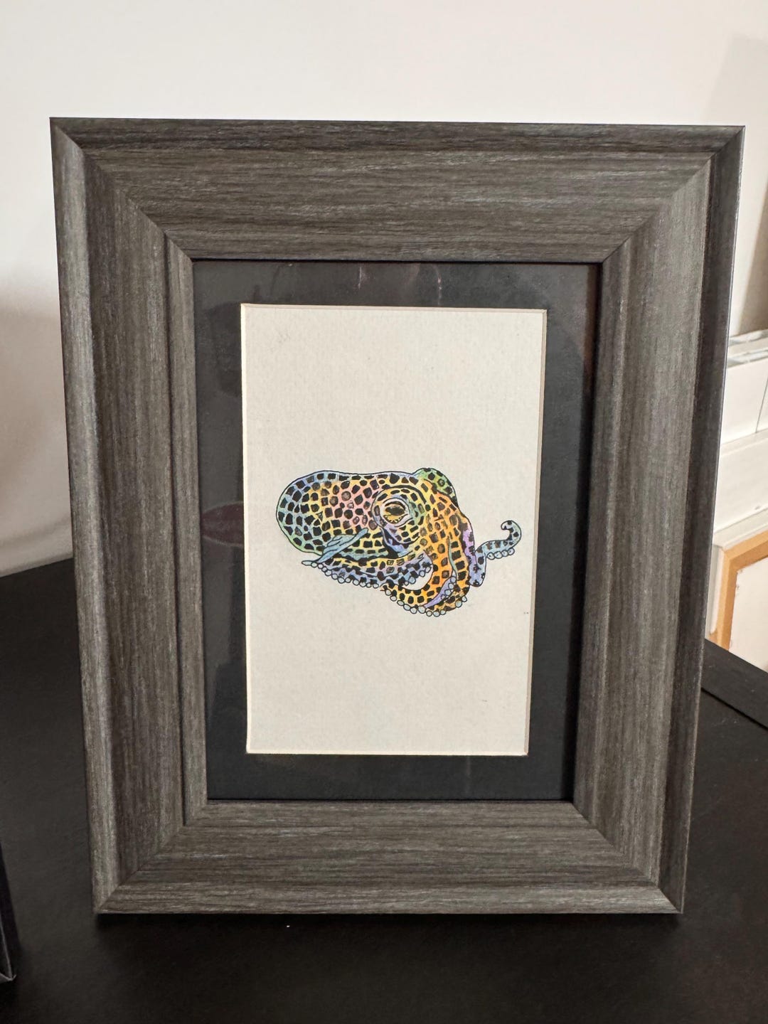 Hummingbird Bobtail Dwuid Framed Hand Drawn Picture - Etsy