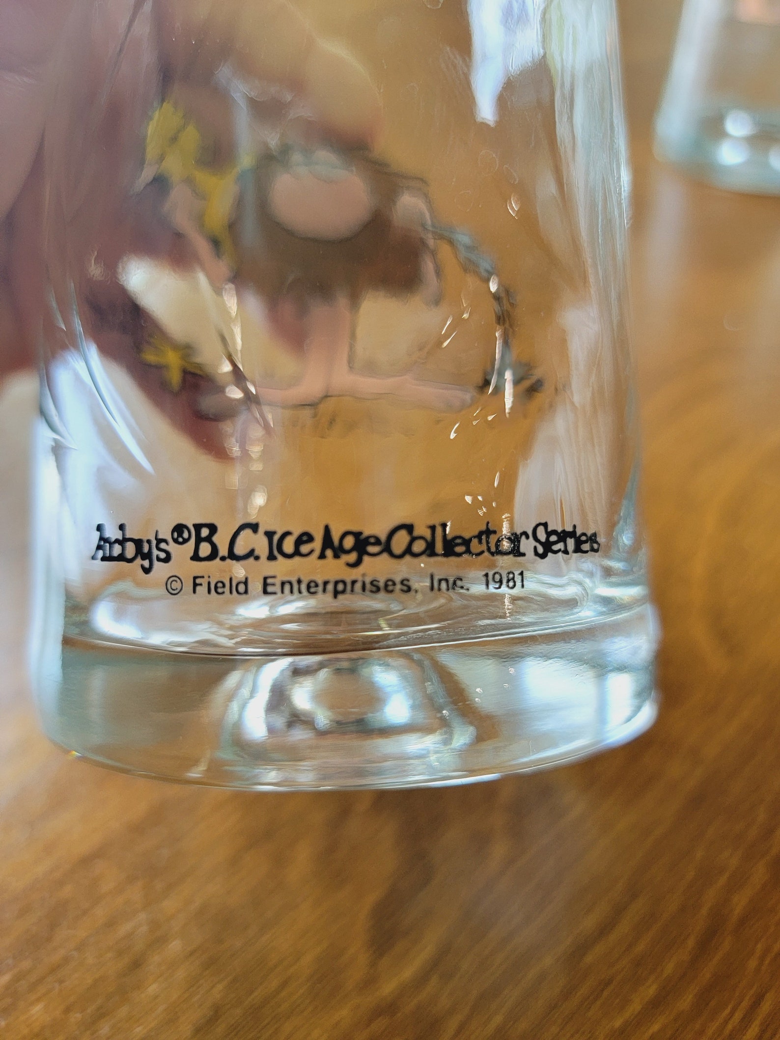 Vintage 1981 Arby’s B.C. Ice Age Collector Series 4 Drinking Glasses - Etsy